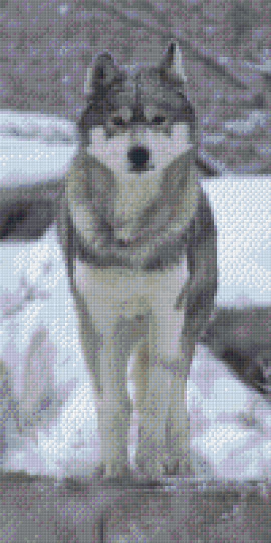 Wolf In Snow Ten [10] Baseplates PixelHobby Mini-mosaic Art Kit image 0
